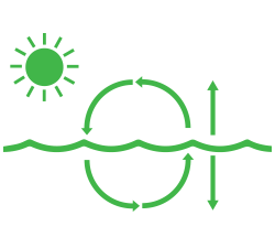 Biological Pump Ocean Carbon Biogeochemistry