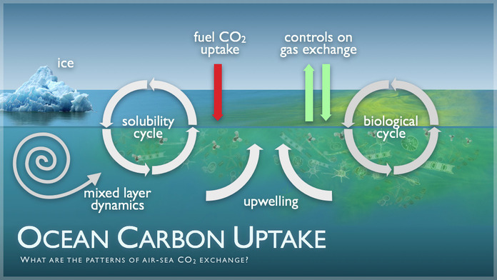 Ocean Carbon Uptake by NOAA PMEL