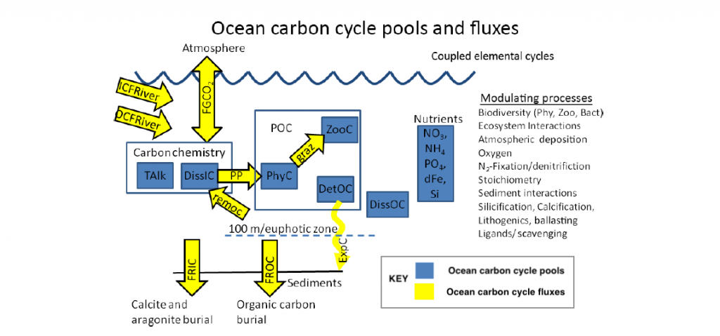 Figure modified from C. D. Jones et al. (2016) The Coupled Climate–Carbon Cycle Model Intercomparison Project Geosci. Model Dev., 9, 2853–2880.