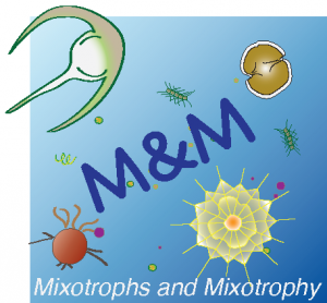 MM_logo-300x278.png