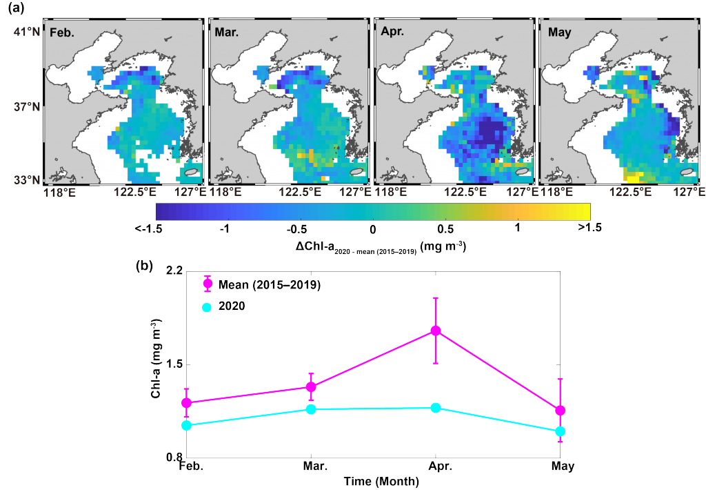 Figure 1. (a) The spatial distribution of the difference in the monthly mean Chl-a concentrations over the Yellow Sea between 2020 and 2015–2019 (ΔChl-a2020 ‒ mean (2015–2019)) in February, March, April, and May. (b) The monthly mean Chl-a averaged for the Yellow Sea (32.625–41.625 °N, 117.375–127.375 °E) during February to May 2015–2019 (pink marker) and 2020 (cyan marker). The vertical solid lines represent their standard deviation for the 2015–2019.