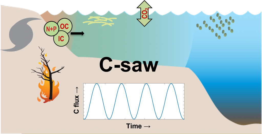 C-SAWv1