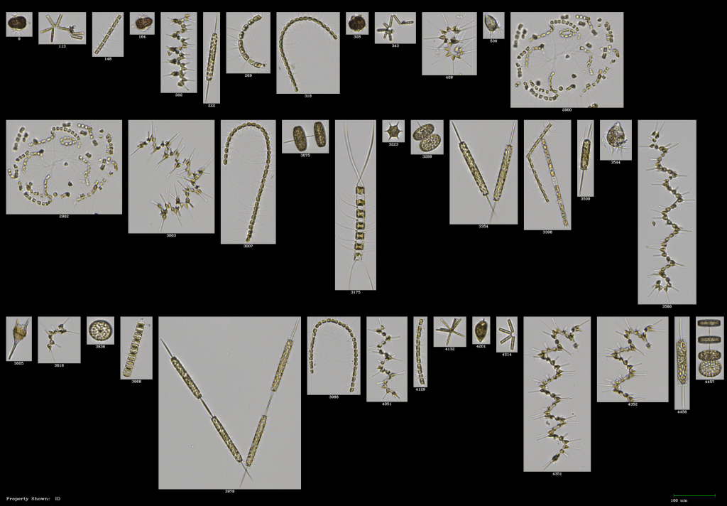 mixed assembly2