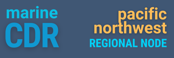 PNW node logo