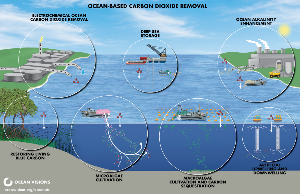Ocean Visions overview of resources to support scientific decision making around ocean CDR: https://oceanvisions.org/ocean-based-carbon-dioxide-removal/