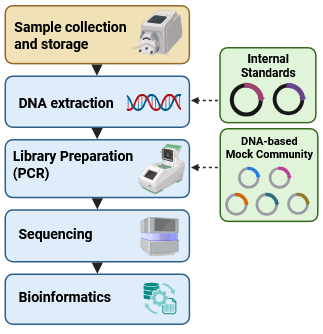 Different components of the metabarcoding workflow that will be evaluated by the working group.