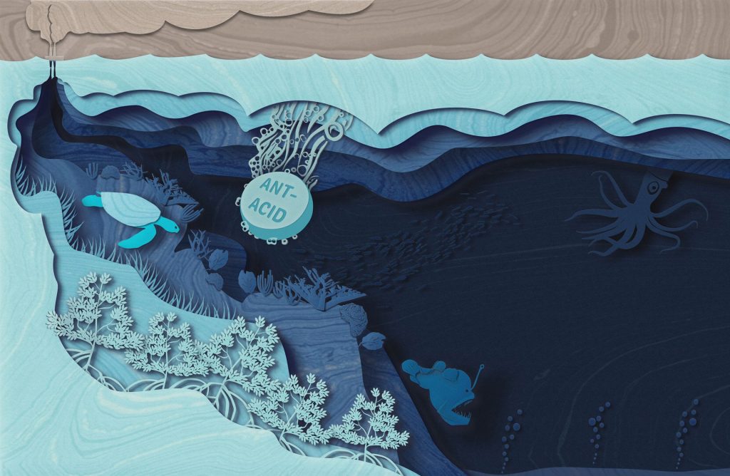 Alkalinity refers to water’s ability to neutralize acid. When alkaline molecules react with carbon dioxide, it converts to a form that can’t readily return to the atmosphere as carbon dioxide gas. Illustration by Natalie Renier, ©Woods Hole Oceanographic Institution