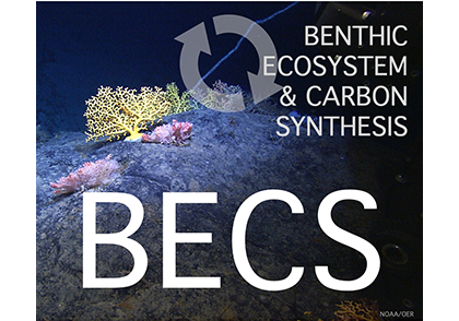 BECS-slider