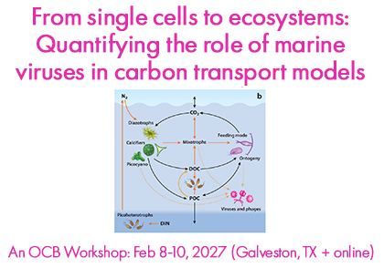 Marine Virus workshop slider
