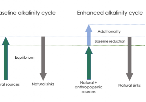 Simple schematic of the additionality problem. In the baseline state (left), alkalinity sources and sinks are (assumed to be) in equilibrium. The addition of an anthropogenic alkalinity source (right) to the baseline system may reduce alkalinity inputs via natural sources. The reduction of natural sources must be subtracted from the anthropogenic sources to correctly calculate the additional CO2 sequestration potential of OAE.
